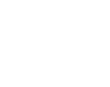 logo2